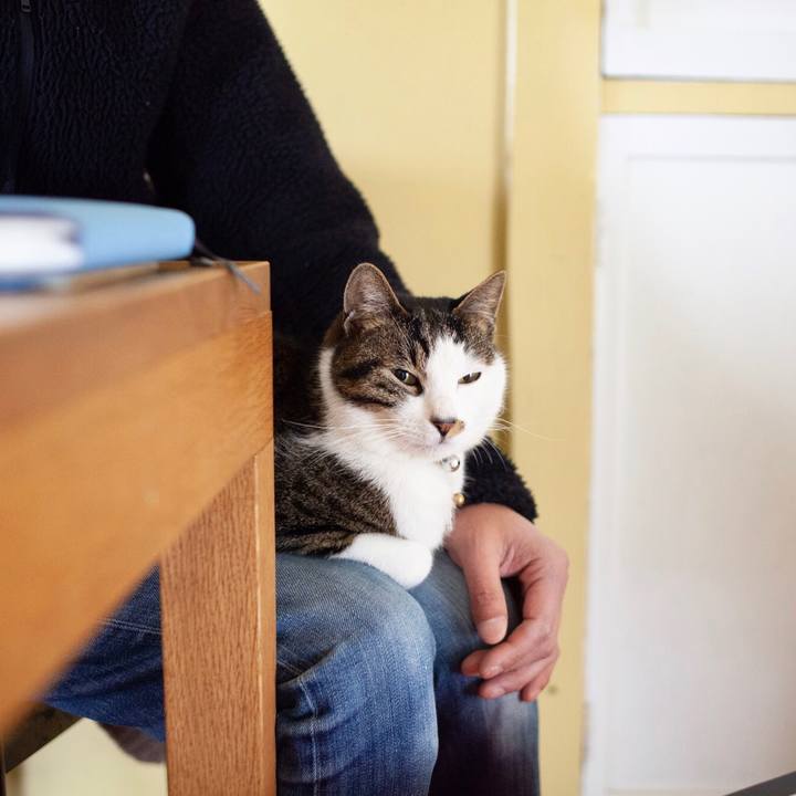 333225ef b7d2 4e6b bf0a 02e33484e5e8 1586746452226