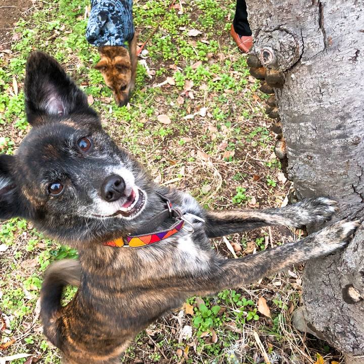 33322b46 654e 4cf5 b477 f9457541231d 1577545169043