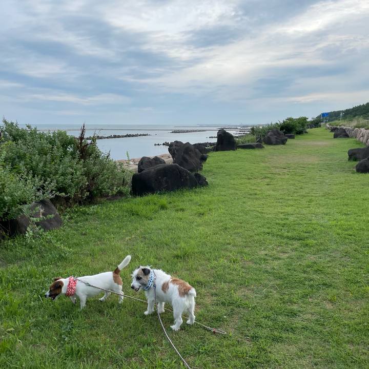 33325651 bf53 4d2a b3f5 9bab4294cc6e 1660258591366