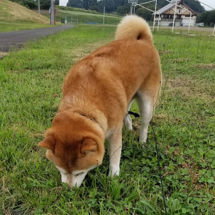 3332873e e1cf 4260 aaad f89db298090c 1600332331561