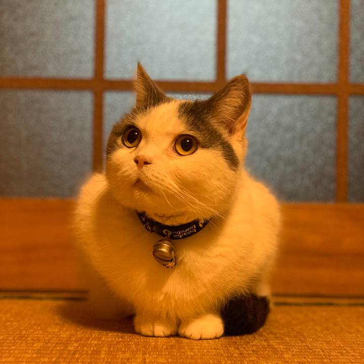 3332ebe3 9347 484b a64e 2dee9da15109 1708867290359