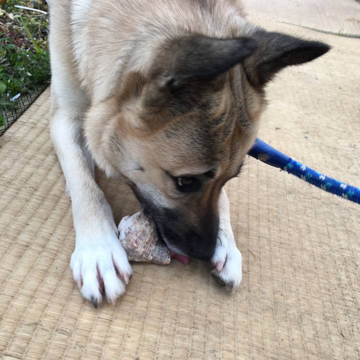 33333492 e036 4803 aa3b fddd2d01c3b3 1519211754651