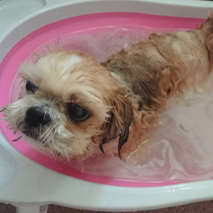 3333ab8e f04b 4bba ad78 d56cd6fdcbe7 1580800927726