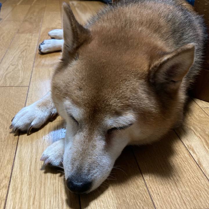 3333c300 cdbf 412d 9e6a b8a64a9541a3 1663474722320