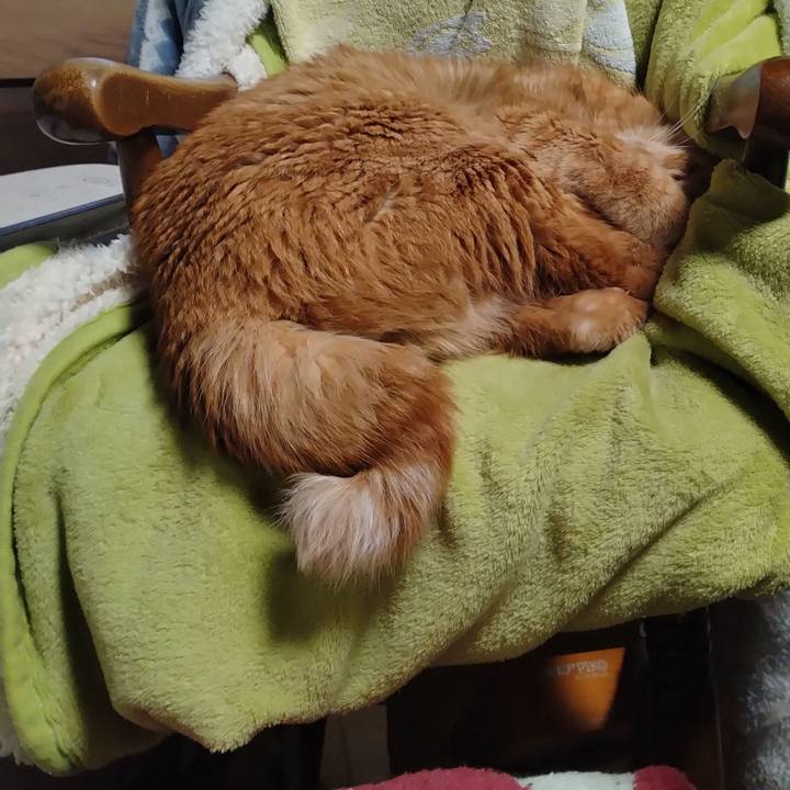 3333d2b6 a1ef 4f6d b97a 6f5ca352d725 1768907212137