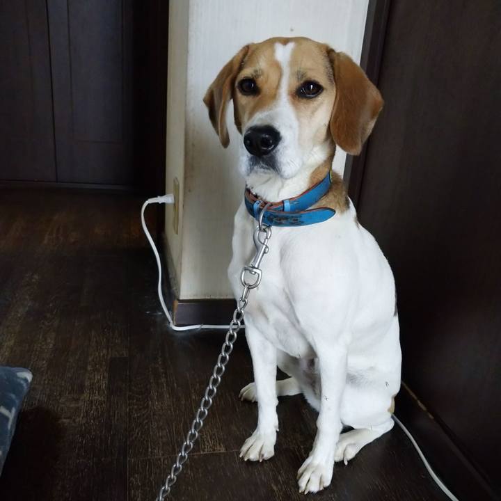 3333d692 5fc6 4d95 a7fd cf391d90a7fa 1606615040293