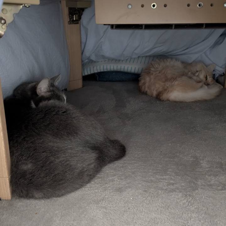 33342efe 0369 45e8 a60e 2640e9fb4f15 1767491073998