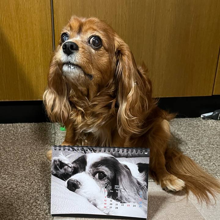 333430e4 4c25 4749 aff8 67728f69a628 1675202811105