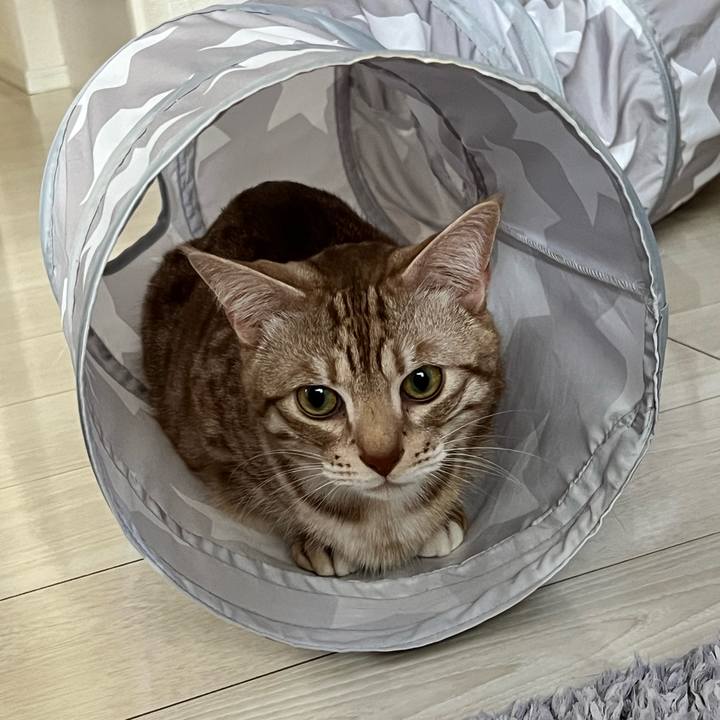 3334371d 1dd1 4442 9baf 0fdd12b3ada7 1679093530386