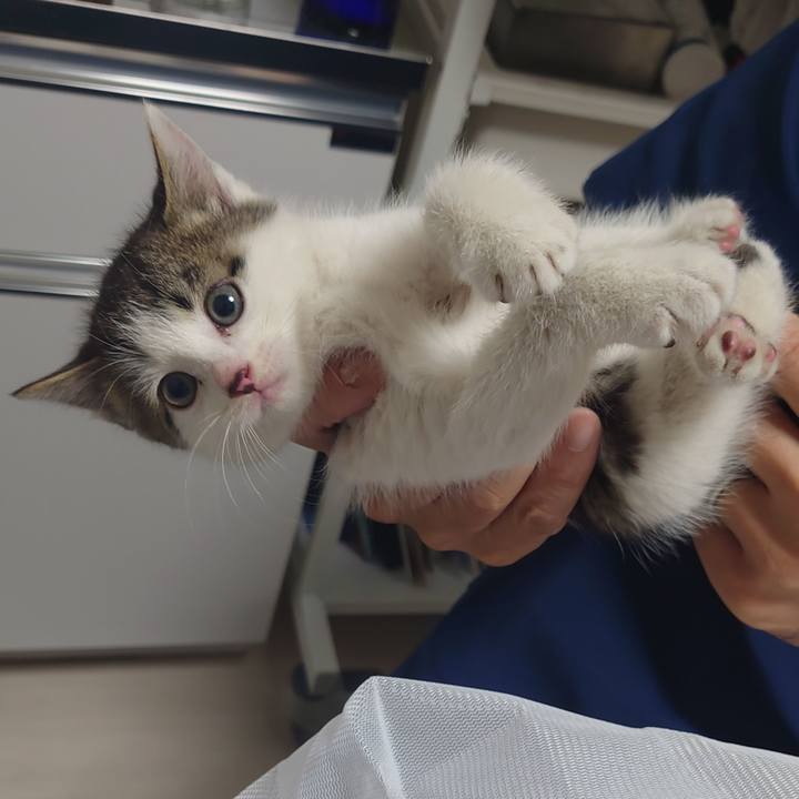 33343f61 14c8 4ab1 97c1 927f425085f8 1687093386739