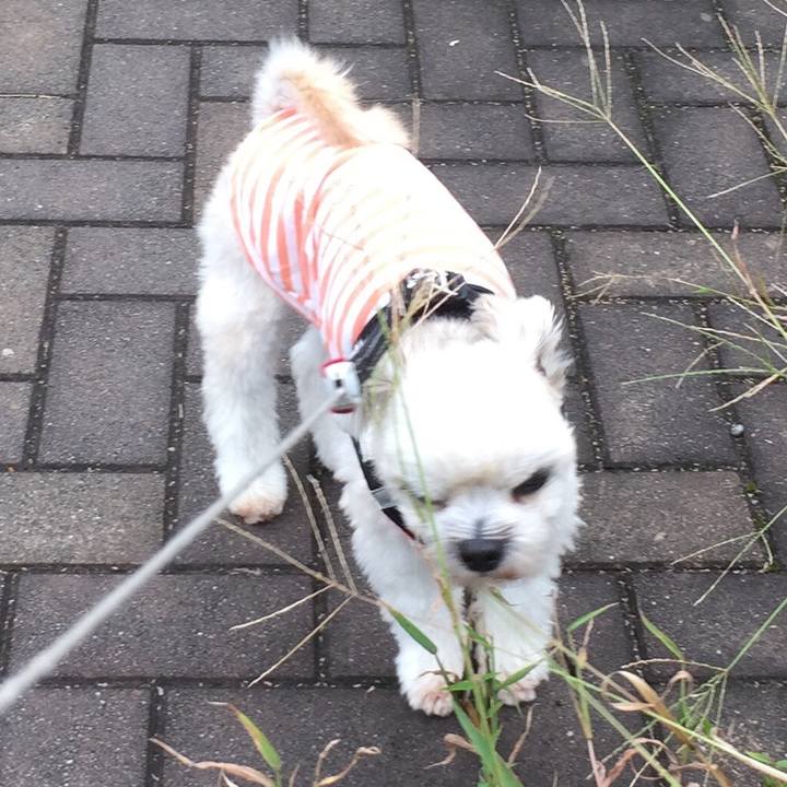 33345364 df7a 45cb 8cd8 a31f0425ccdf 1539415438775