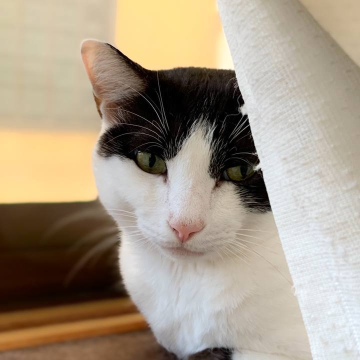 33345520 8dd7 4a43 802c 4ae4785e1bdf 1572657840832