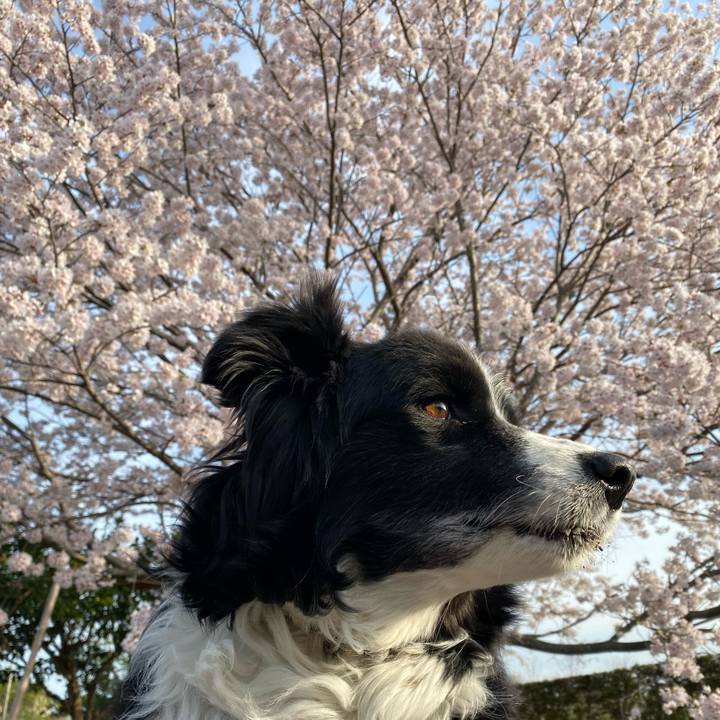 33346272 6a9f 4867 a797 7b146f31ef98 1648856704677