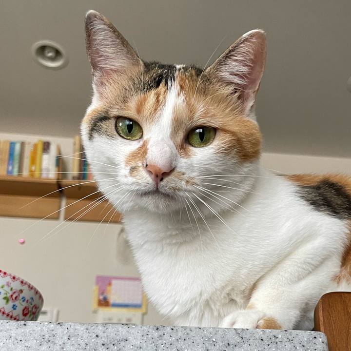 33347017 eced 401e a22f c4ee2172f588 1659484077588