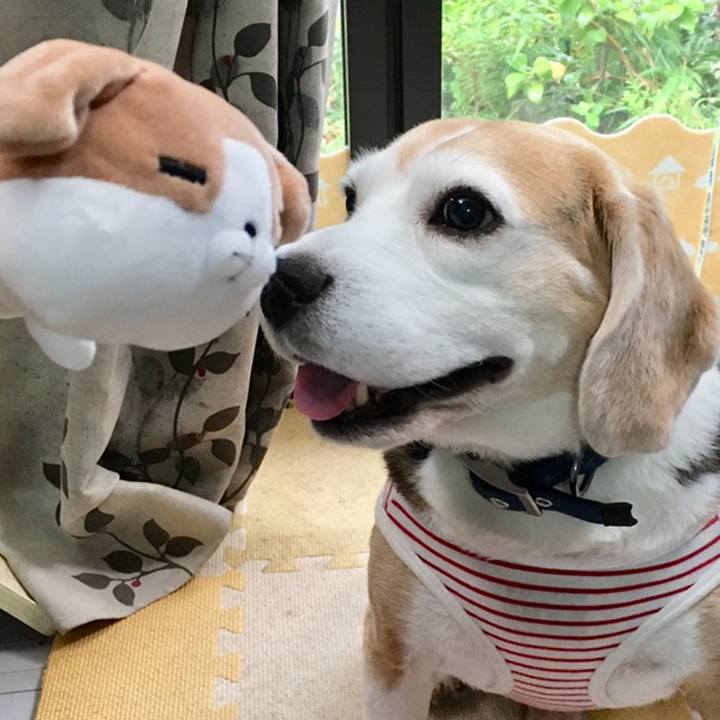 333492c5 525a 479b 9cc4 f3156ae65715 1559024267564