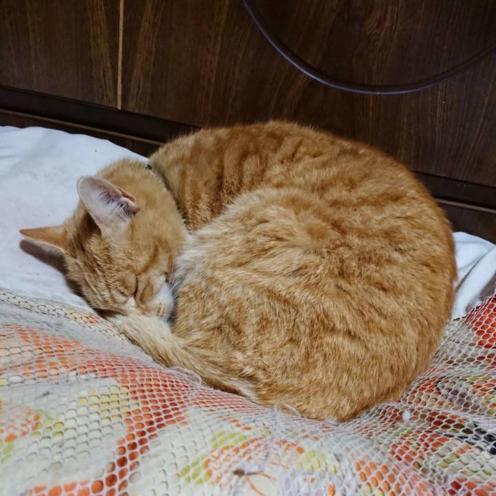 3334b226 cd20 4cd6 894d 8bb6cd5ccedb 1586171803829