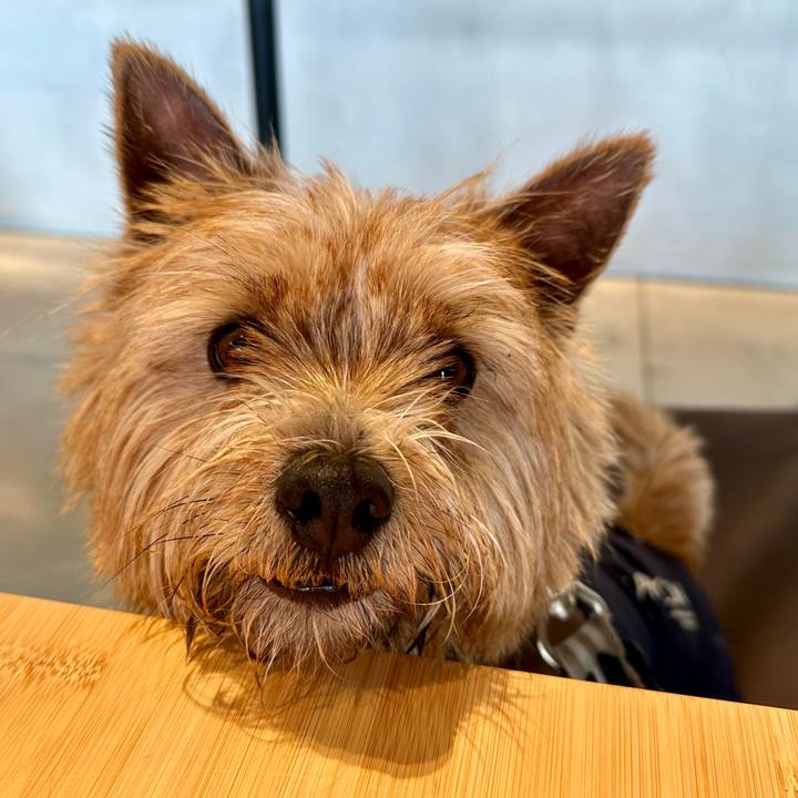 3334b760 83d3 4bc5 8919 66e12181b616 1769951334543