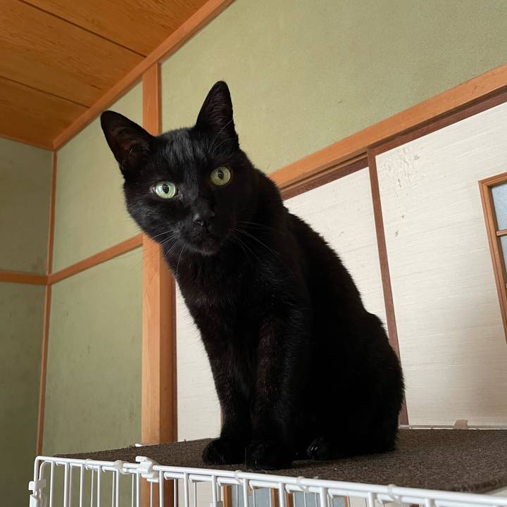 3334b773 9444 45b3 a254 819680509e37 1648259451980