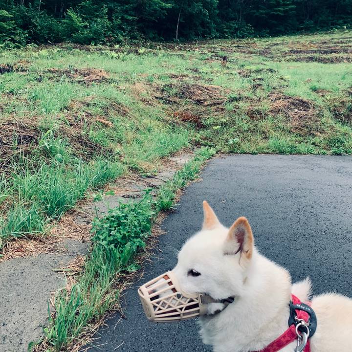 3334fe18 3561 467f 96c5 8c7c2d2fa02c 1564175352470