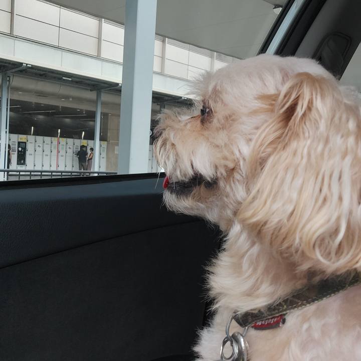 33351eab a286 4ee4 b56d ef38aed810c0 1662775917474