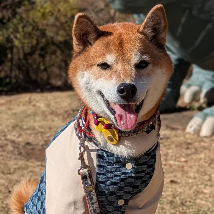 33354b76 279d 41aa 85f8 606e689649e5 1734619784694