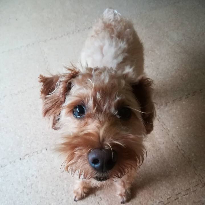 3335cf36 3d3e 4332 9714 e9f14c099c51 1563960423426