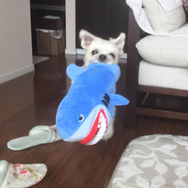 3335e4de f37f 47b2 bbb5 a0e97c467f0c 1557640181530