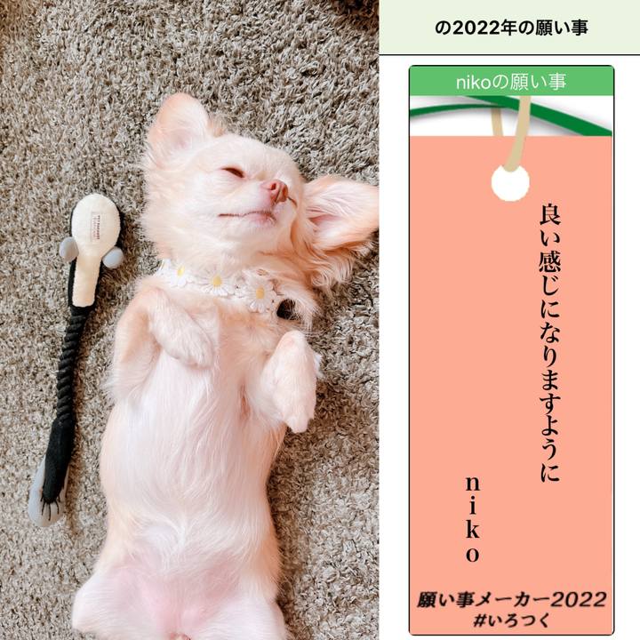 3335f153 95f7 46c3 8100 b5a9e2153344 1657017142226