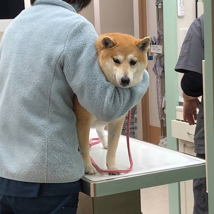 3335f355 ae63 42b6 87c6 add3f123fc16 1587210359457