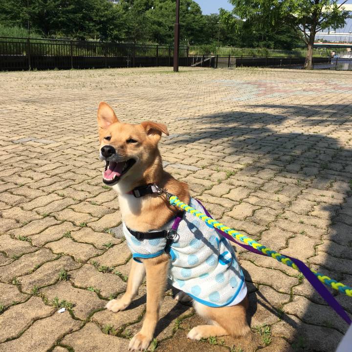 33362e85 c599 4ed2 98b2 2ff7cbb91858 1529882715466