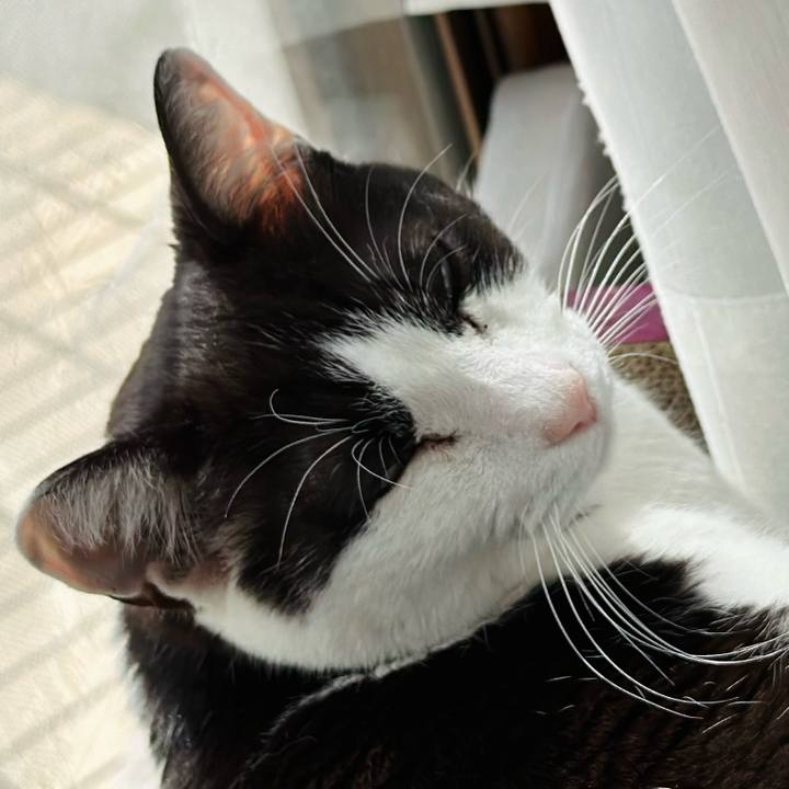 33363994 bb7c 4310 991b 97d1afa325a8 1682729507110