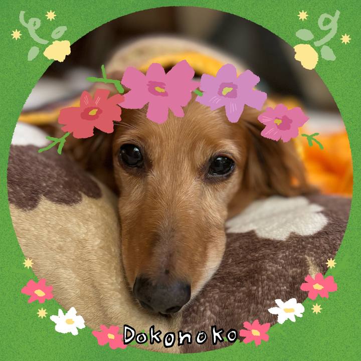 33366568 2193 4b17 a581 2a7ec514366b 1727256476632