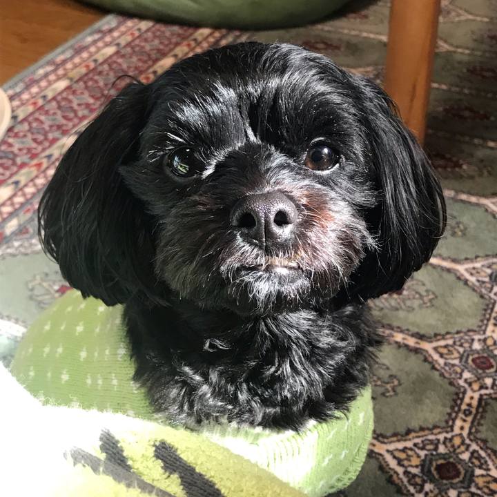 33366d85 7ef5 433d a169 9c752dbfbc2d 1547287115808