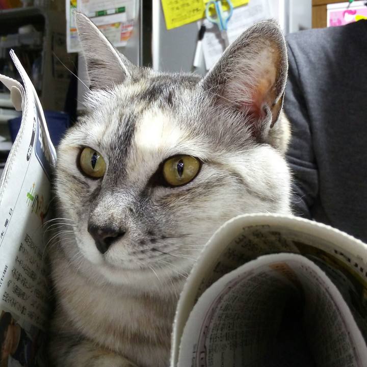 33369450 7d62 4465 8994 52f141482b6b 1525955845663