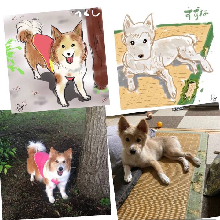 33369dca 9910 44b3 b1a8 da23e3a480bd 1633566901226