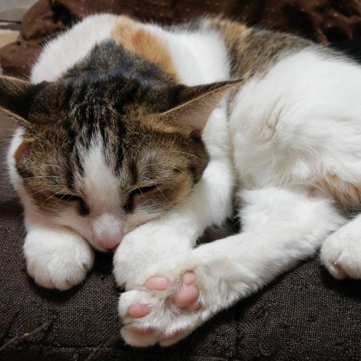 3336dda1 46d5 4772 ad51 4389239a0135 1608158286133