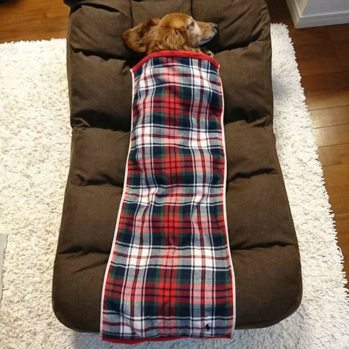 3336ed73 db52 4361 8a58 b0d910fd891d 1685713055775