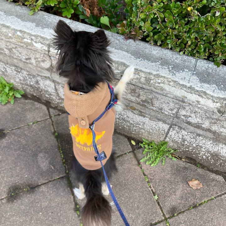 3337191f 9f46 404b 8818 cbffe3b06da5 1708762403012