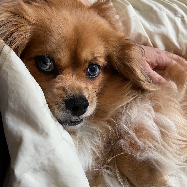 333719f9 a984 41a6 8aa7 99f6461957d7 1590096126923