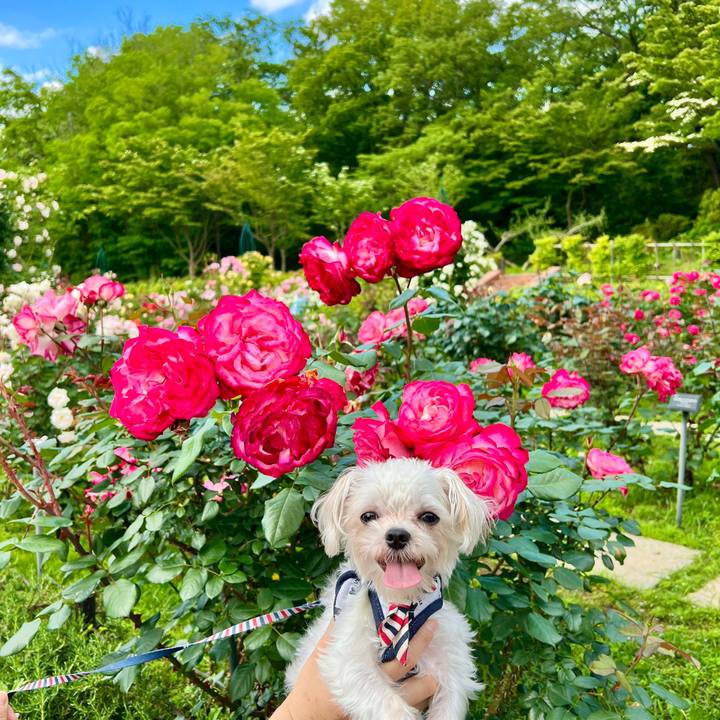 333735cf 7b41 4635 86e5 92357dbb2750 1653203548560