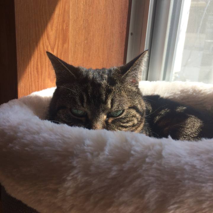 33375880 9edf 4ce0 99ee fe5b63bb9497 1521250045733