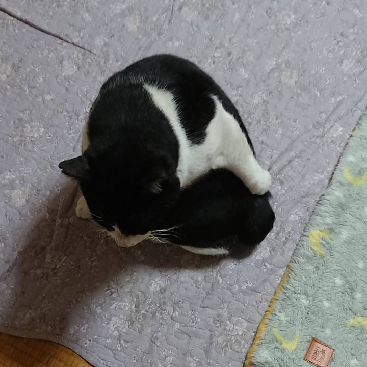 333768b5 8ed0 41c8 aa14 0981026405f9 1548992323163