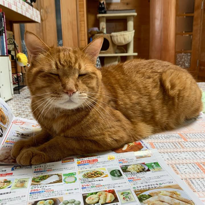 333778b9 3c21 4a18 9470 6f2e28cbf180 1632888882106