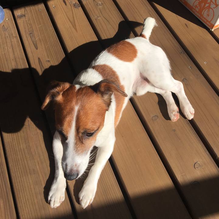 3337cc24 9998 4a3e a4ab 8ee4bf2946b9 1510273770518