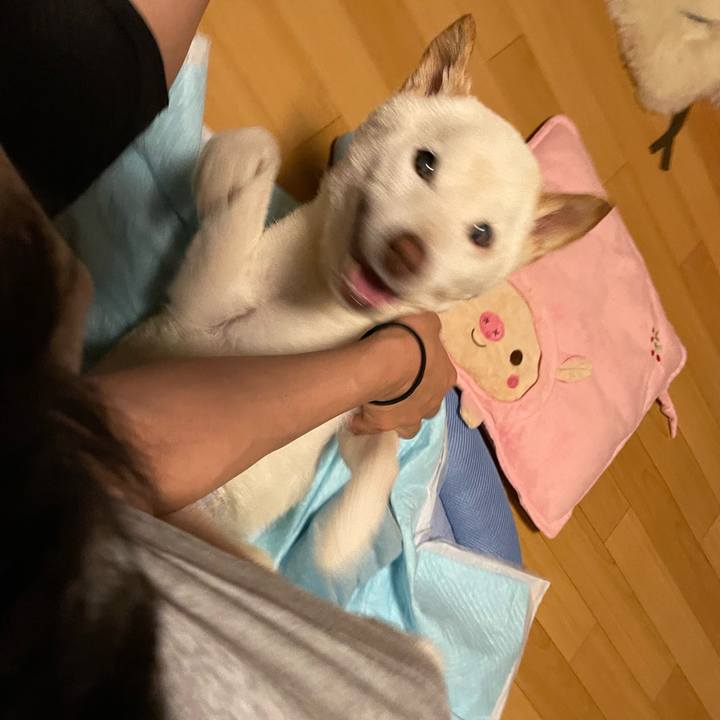 3337cfaf 108d 455d 8bb6 65738fb9de5a 1662220543483