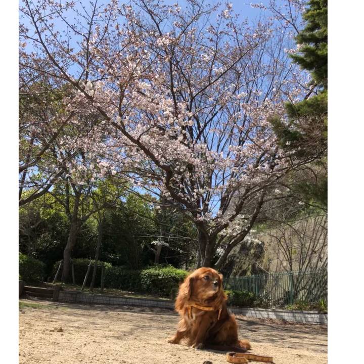 3337ec65 6d99 4be0 91bd 7f74cd94071f 1648592900702