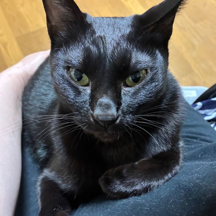 3337f575 46e5 4f73 afa4 0775ee2a63cb 1758621209980