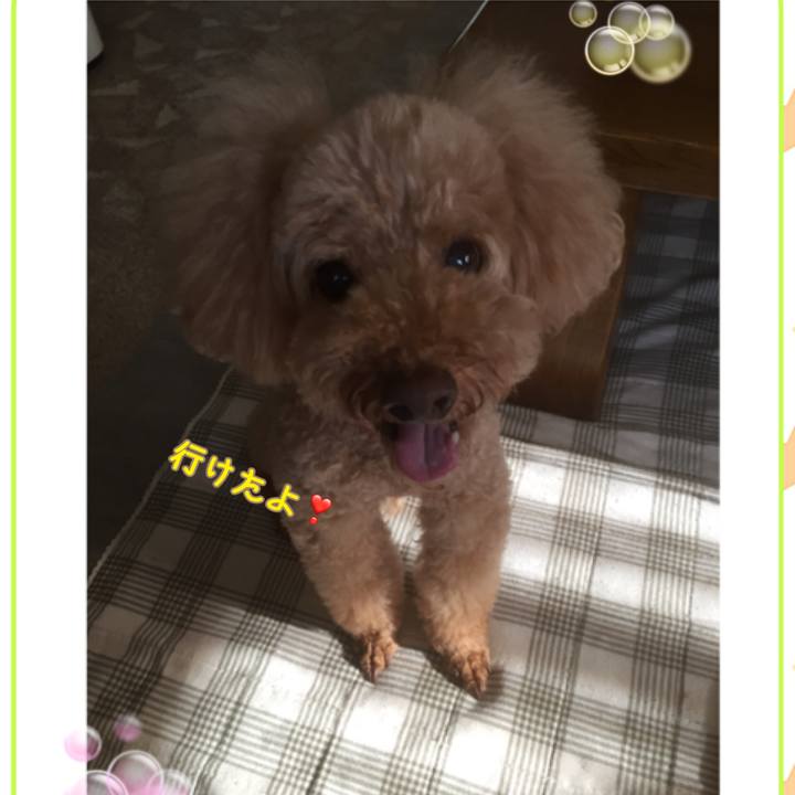 33380e13 e4bd 43bd b743 bc5415211c0f 1537139681123