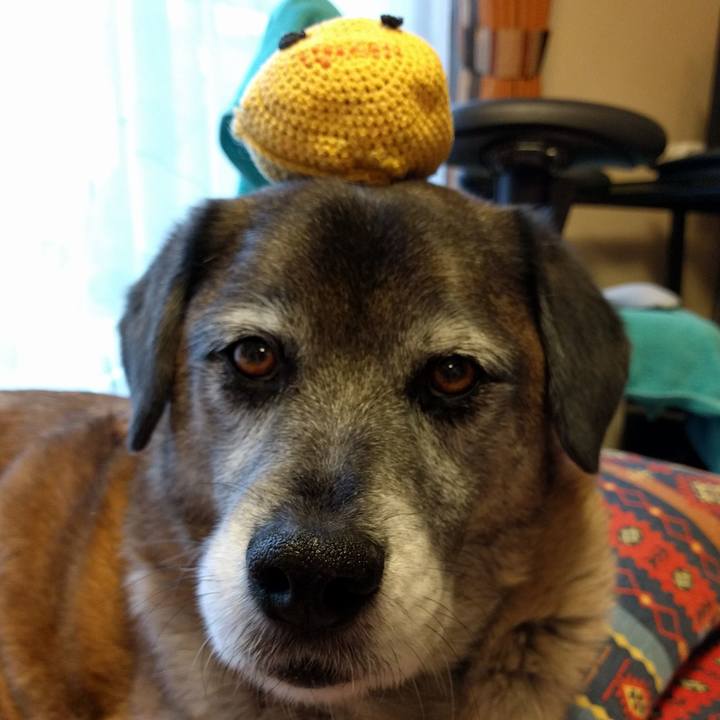 33384550 c41e 4bef 8727 e0f4d94bcf5e 1711071699995