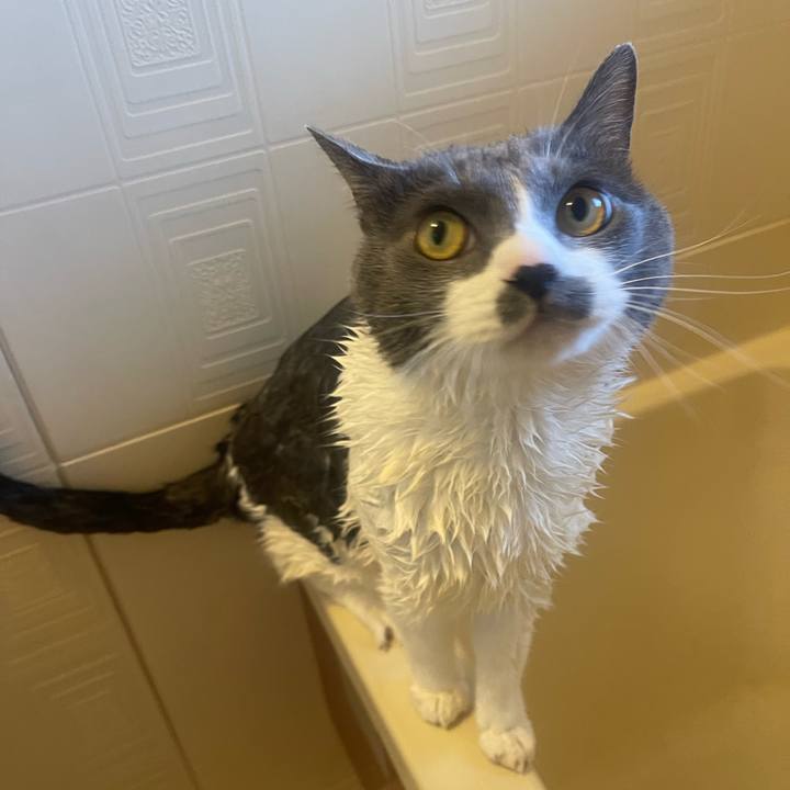 3338c433 fb15 4fd4 8fb4 2262e4d5cd88 1722751624074